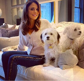 Bethenny Frankel of the Real Housewives of New York, owner of Biggy and Smallz.