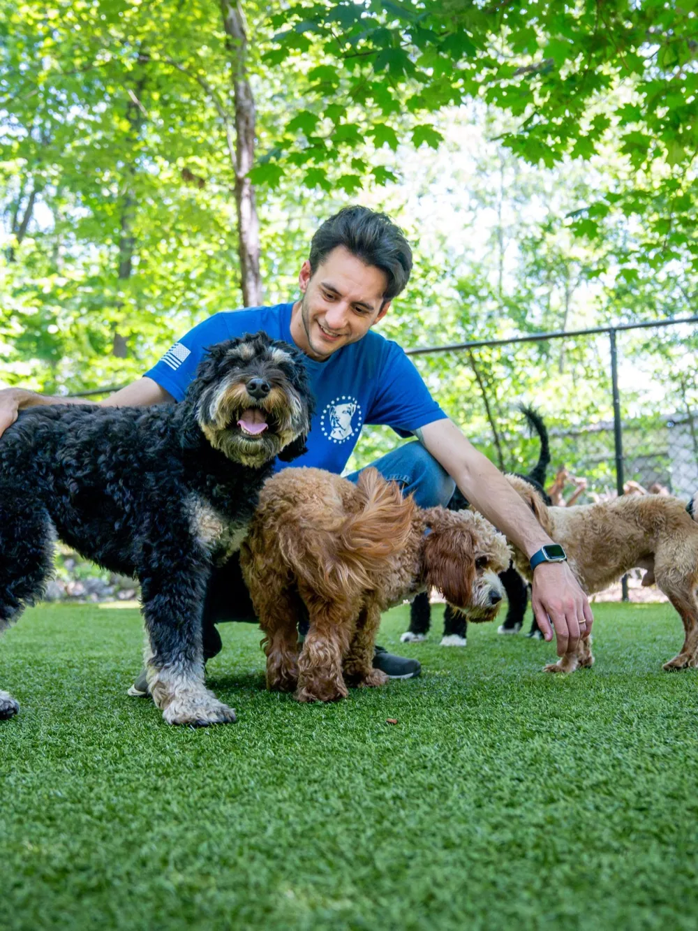 A smiling Pack Leader Dogs team member crouched on the turf yard with a bernedoodle, a cavapoo and a goldendoodle gathered around him.