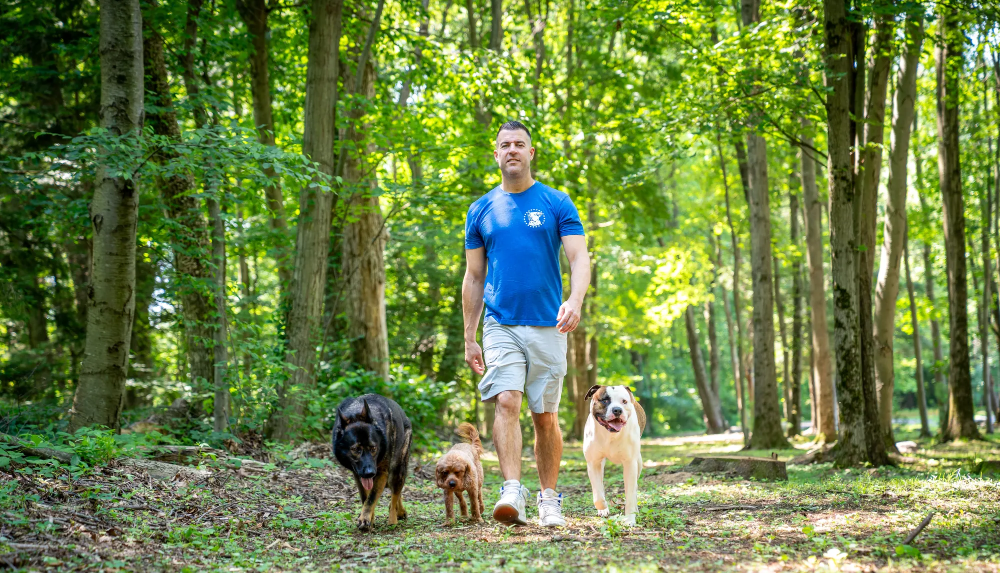 Steve Del Savio walking a shepherd, a cavapoo and a bulldog off leash along a wooded trail at The Maddie Ranch.