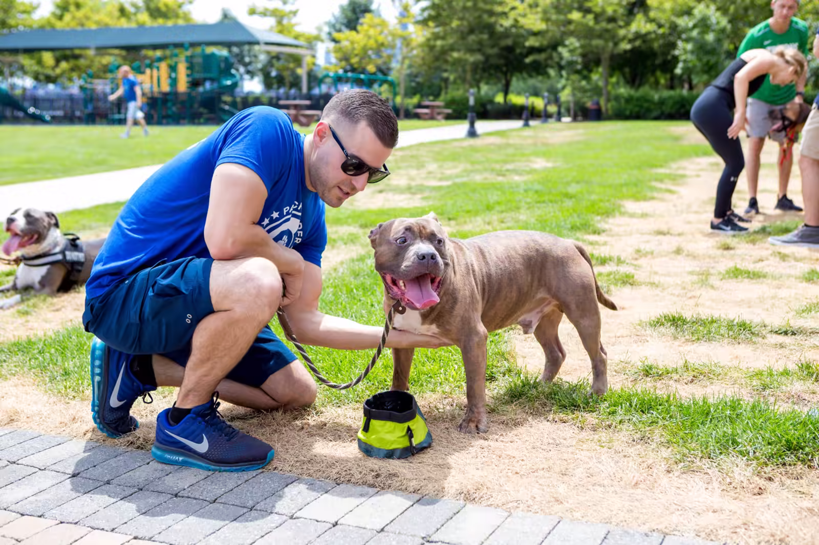 Steve Del Savio walking a large pack of dogs through Hoboken, every leash loose