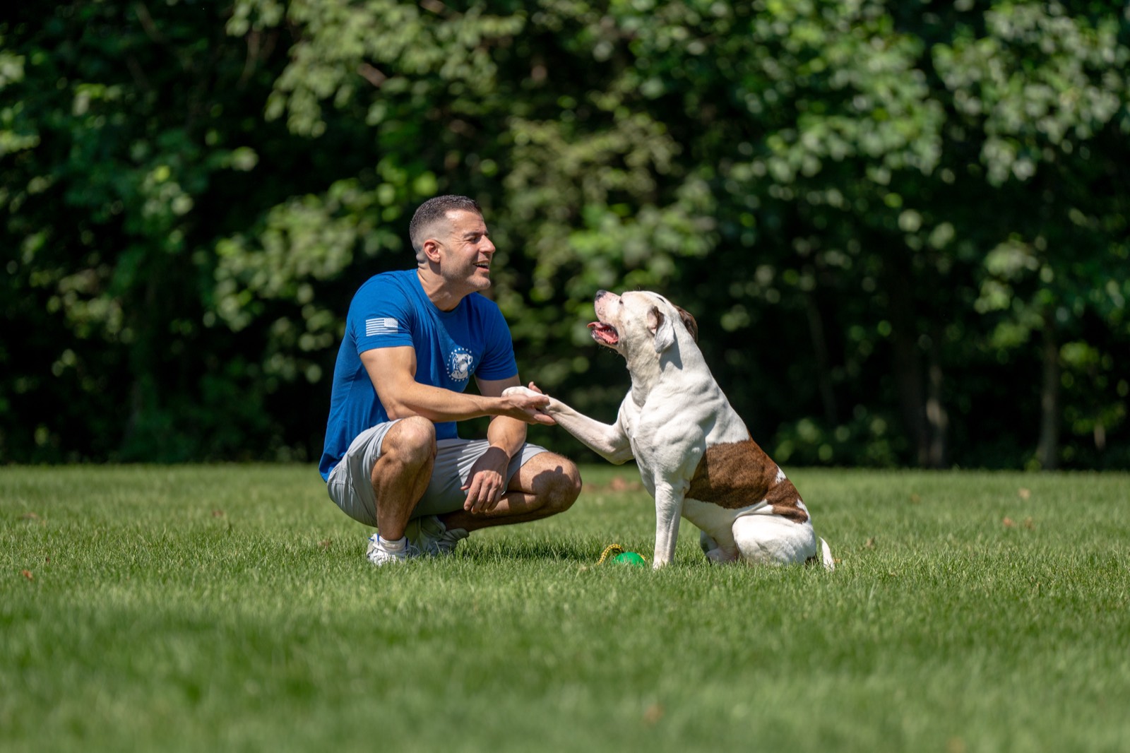 Steve Del Savio crouched on the lawn, shaking the offered paw of a white and brindle dog.