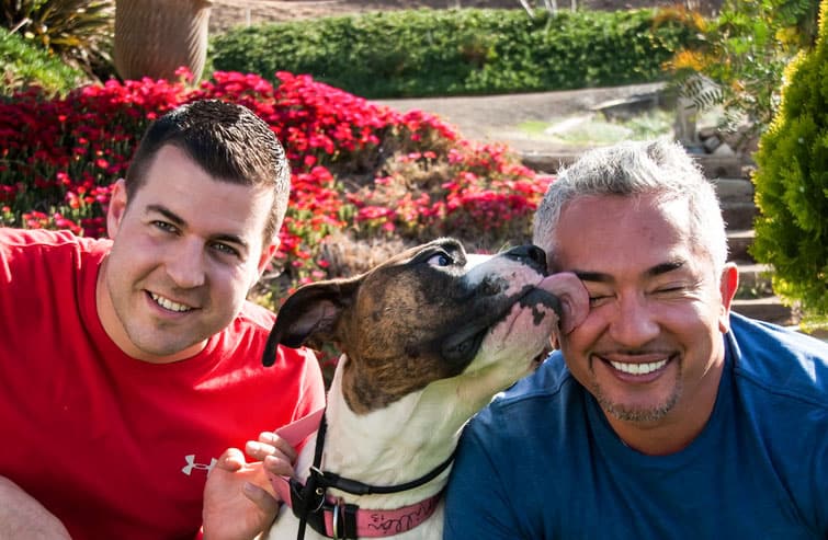 Steve Del Savio and Cesar Millan side by side in a hillside garden, a brindle and white pit bull licking Cesar's cheek.