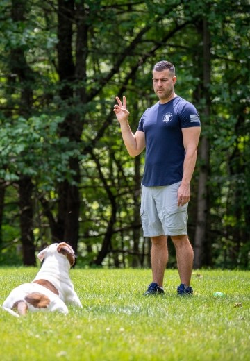 Steve Del Savio gives a quiet hand signal to a bulldog during a training session.