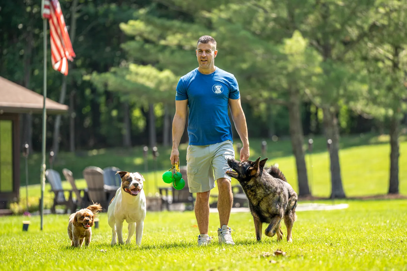 Steve Del Savio walking across the great lawn with a cavapoo, a bulldog and a shepherd at his side, the flag and pavilion behind.