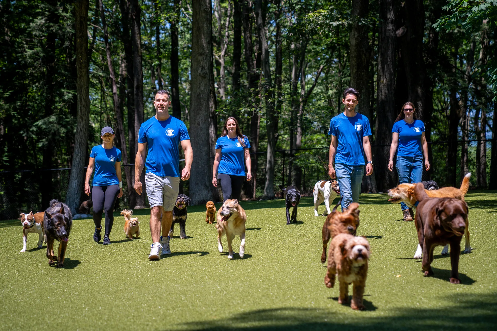 Steve Del Savio and four of the team walking a pack of dogs across the yard at the ranch, the woods behind them.