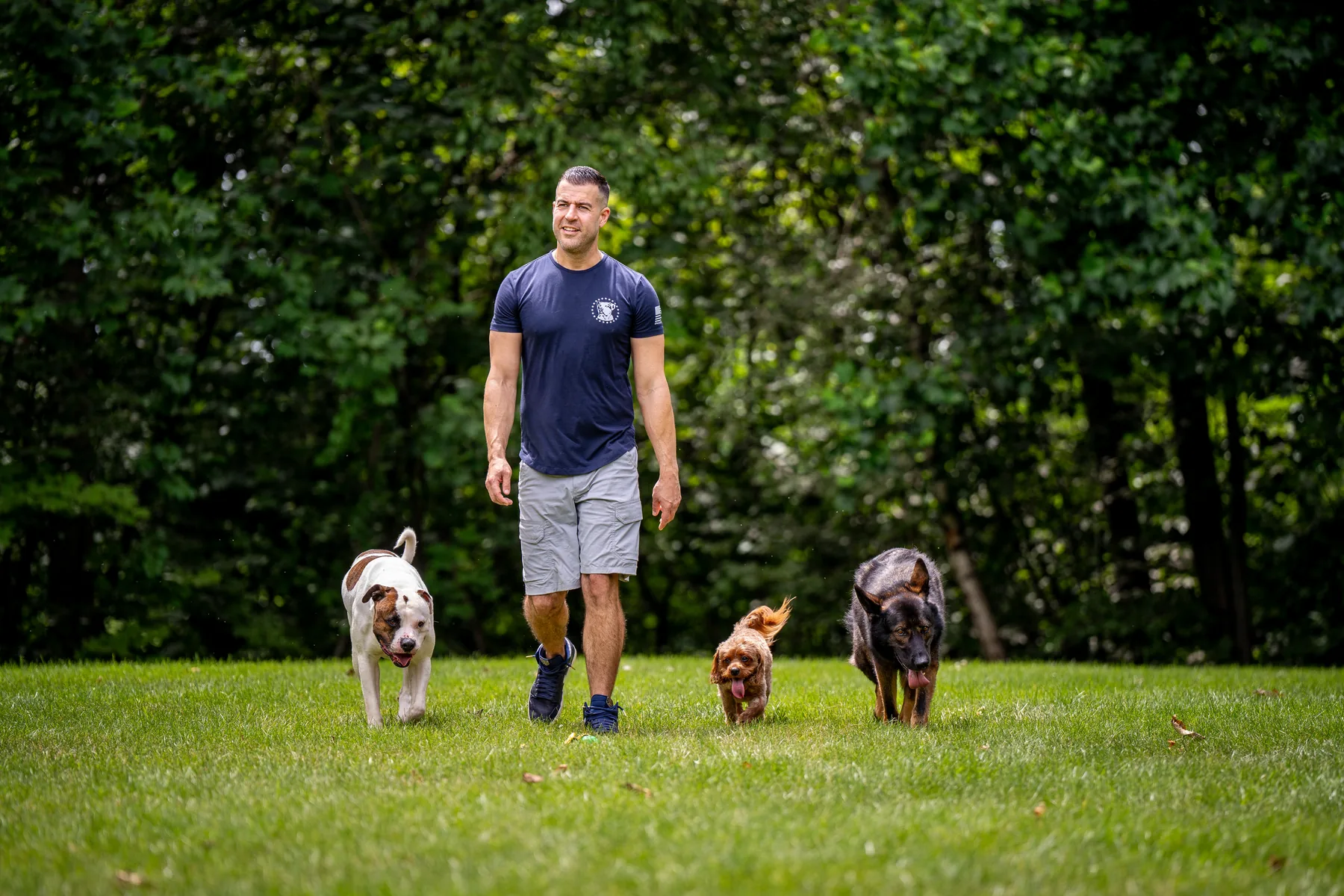 Steve Del Savio walking across the lawn at the ranch with three dogs, a white-and-brown dog, a small red dog and a German shepherd, trees behind.
