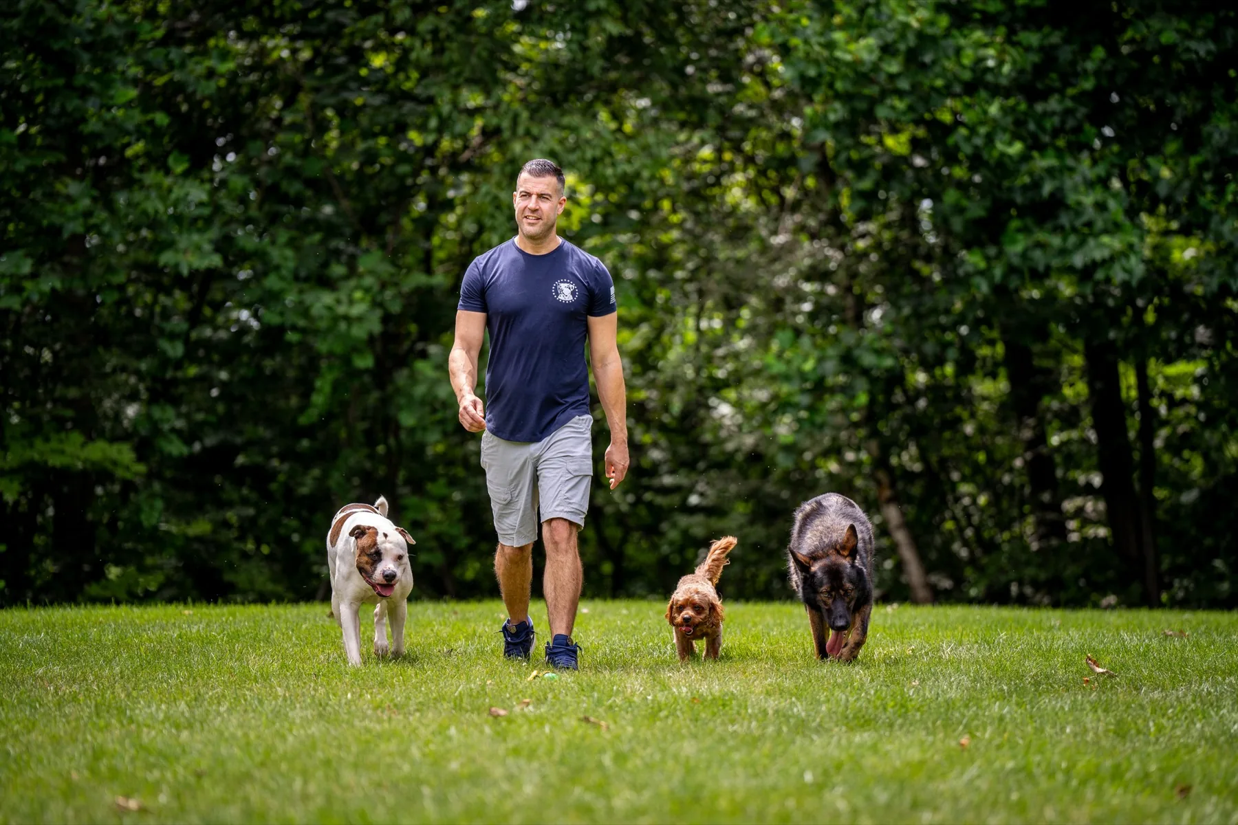 Steve Del Savio walking across the lawn at the ranch, three dogs loose at his side.