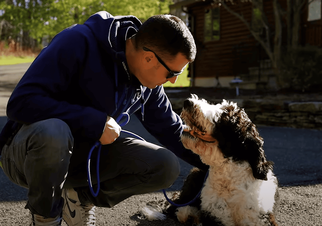 Dog Training Pack Leader Dogs